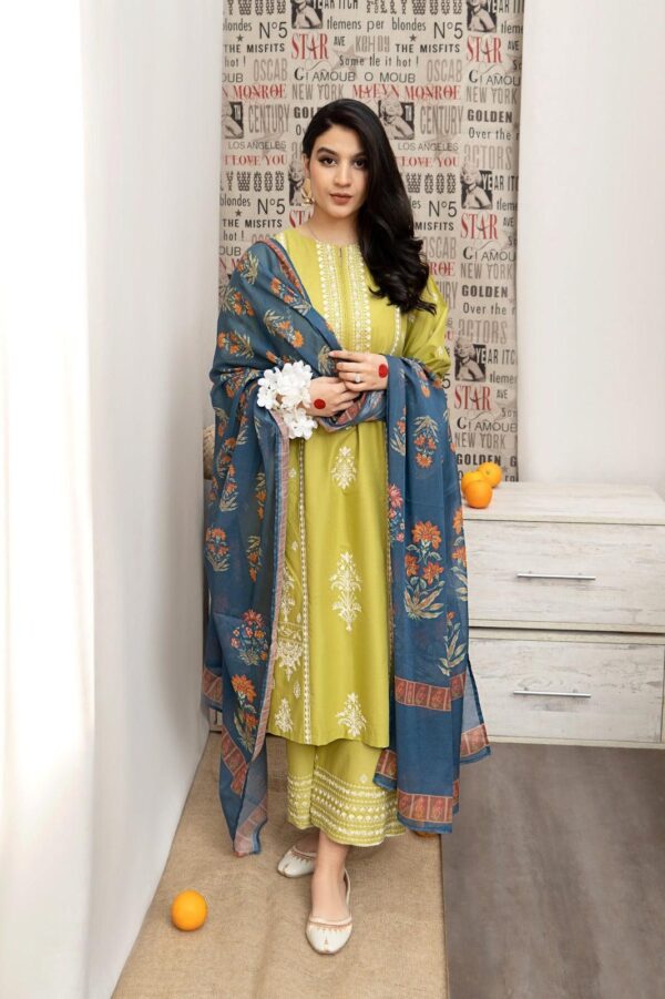 Elegant Embroidered Lawn Suit - Front View